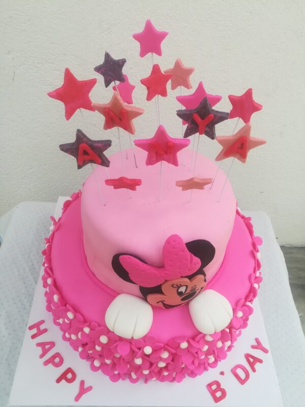 2d Minnie mouse cake