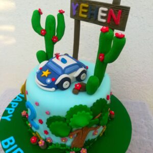 police car and cactus