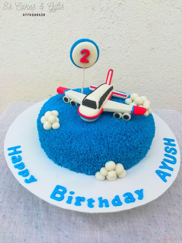 aero plane cake