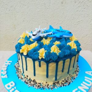 Aero plane cake